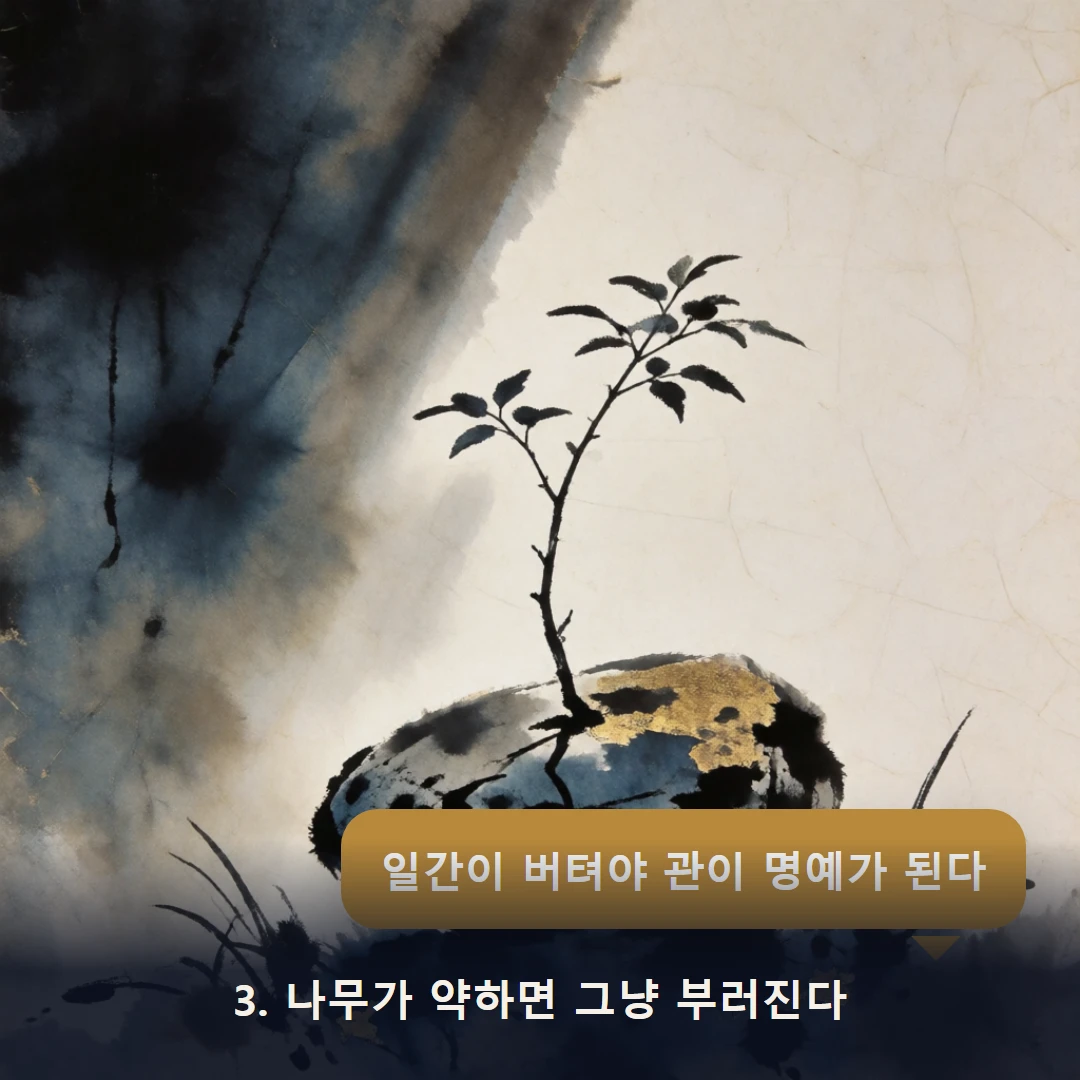 웹툰 3컷 — 3. 나무가 약하면 그냥 부러진다 (일간이 버텨야 관이 명예가 된다)