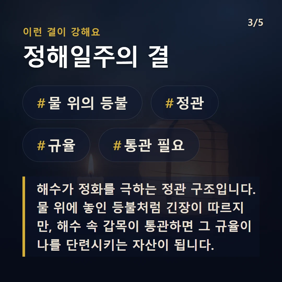 정해일주의 결 — #물 위의 등불 #정관 #규율 #통관 필요