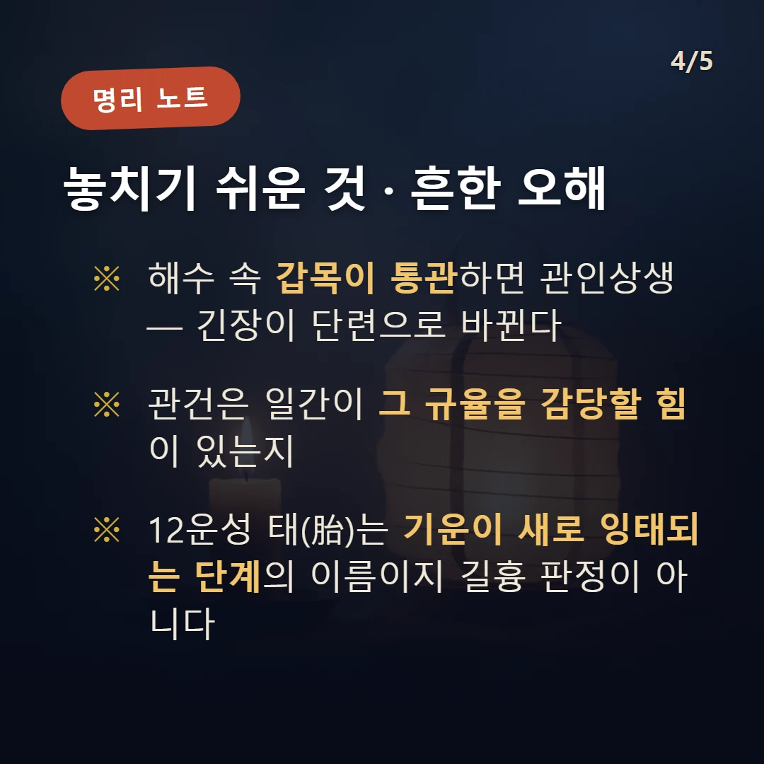 정해일주 주의·오해 — 해수 속 갑목이 통관하면 관인상생 — 긴장이 단련으로 바뀐다 / 관건은 일간이 그 규율을 감당할 힘이 있는지 / 12운성 태(胎)는 기운이 새로 잉태되는 단계의 이름이지 길흉 판정이 아니다