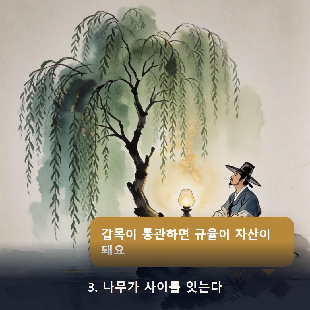 웹툰 3컷 — 3. 나무가 사이를 잇는다 (갑목이 통관하면 규율이 자산이 돼요)