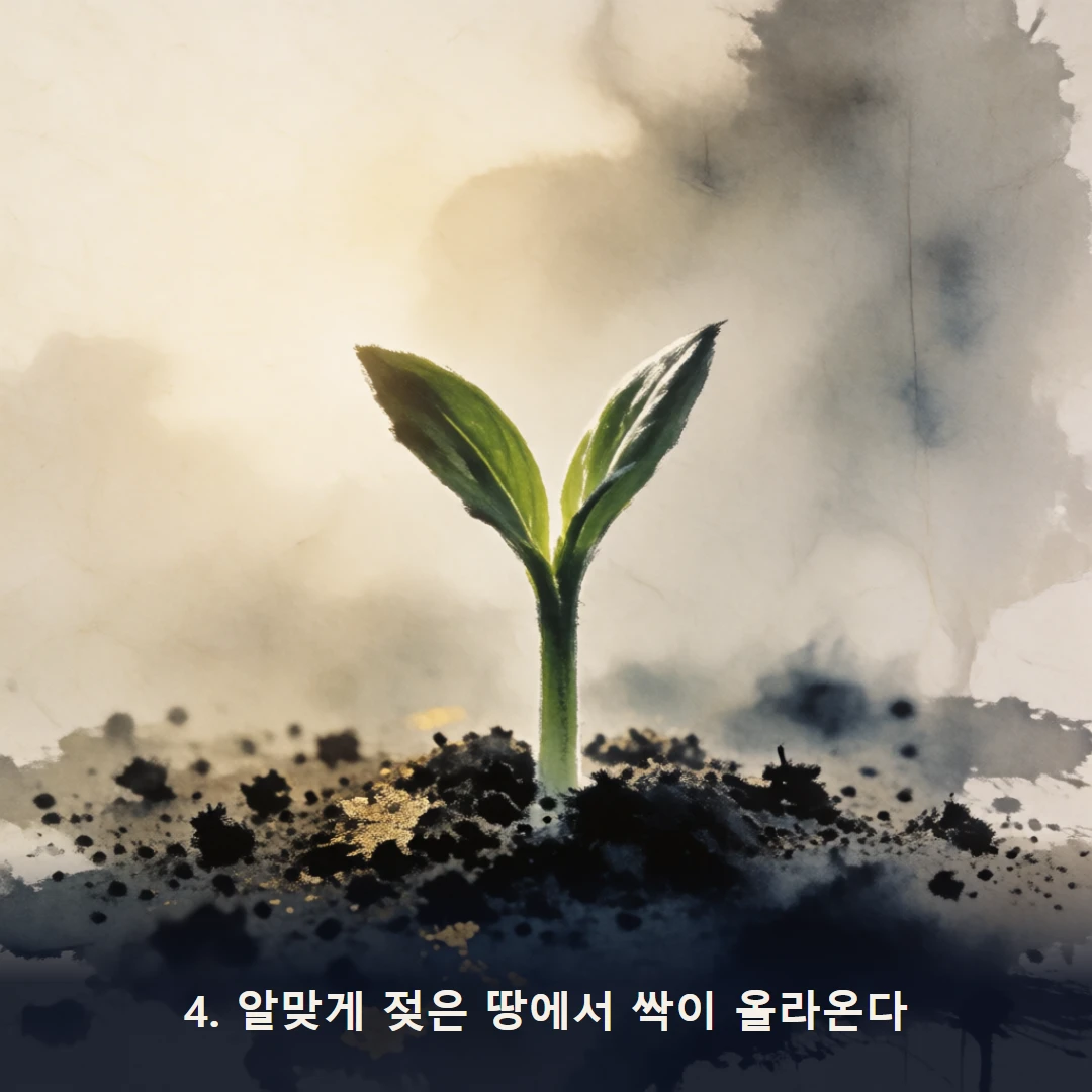 웹툰 4컷 — 4. 알맞게 젖은 땅에서 싹이 올라온다