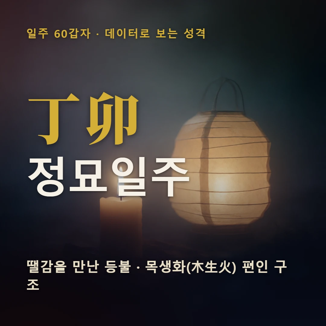 정묘일주 표지 — 땔감을 만난 등불 · 목생화(木生火) 편인 구조