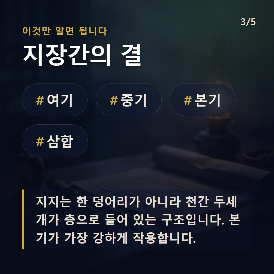 지장간의 결 — #여기 #중기 #본기 #삼합
