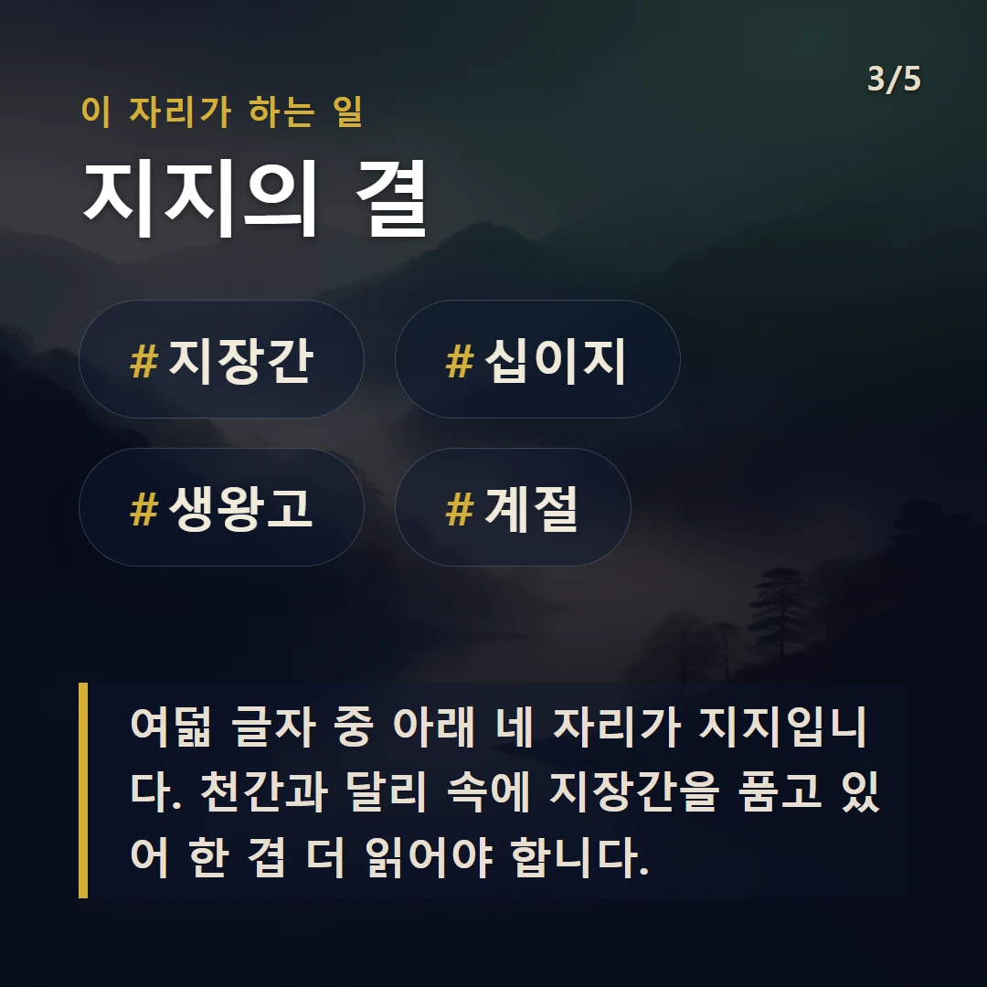 지지의 결 — #지장간 #십이지 #생왕고 #계절