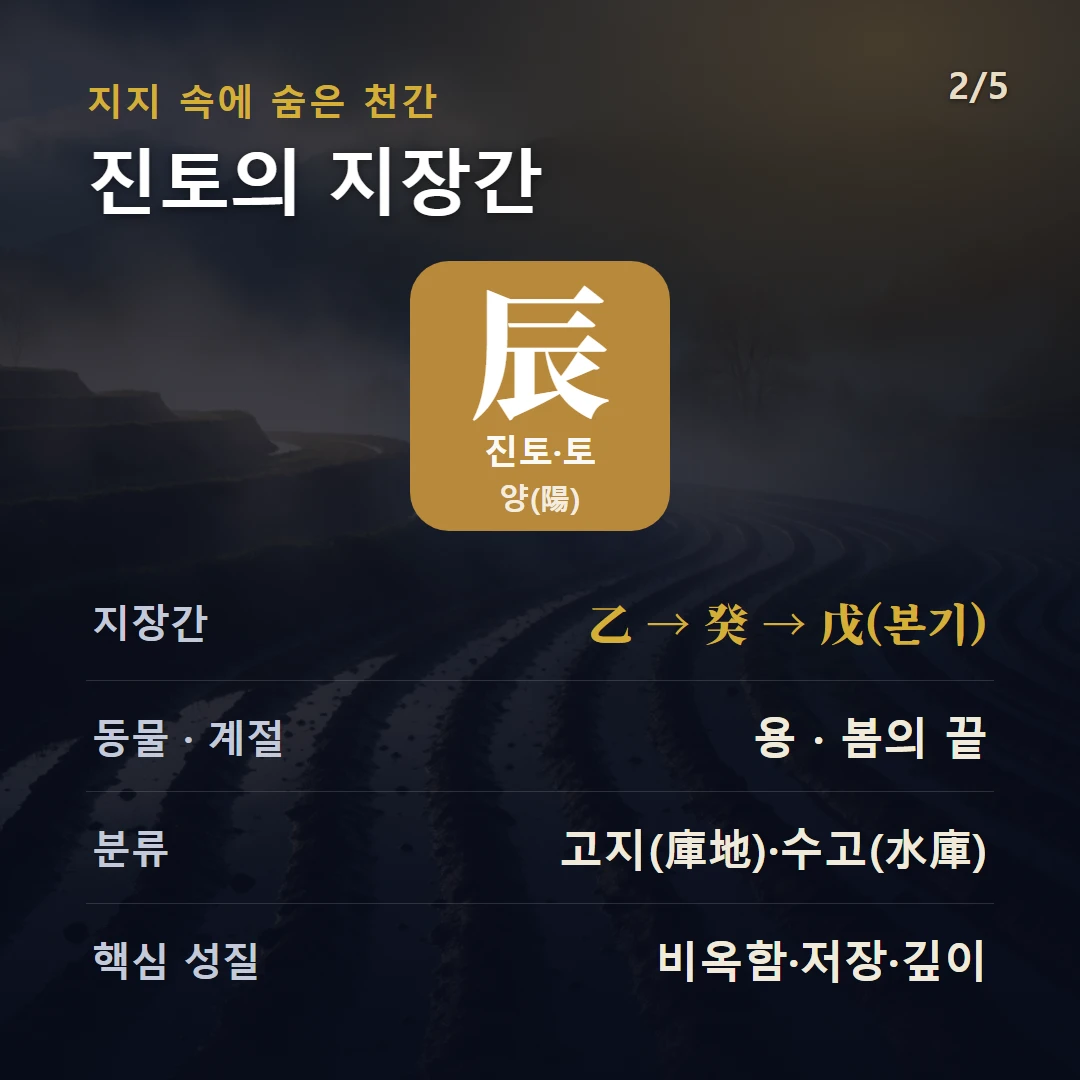 진토 지장간 — 토 양(陽), 지장간 乙 → 癸 → 戊(본기), 동물 용, 봄의 끝, 고지(庫地)·수고(水庫)