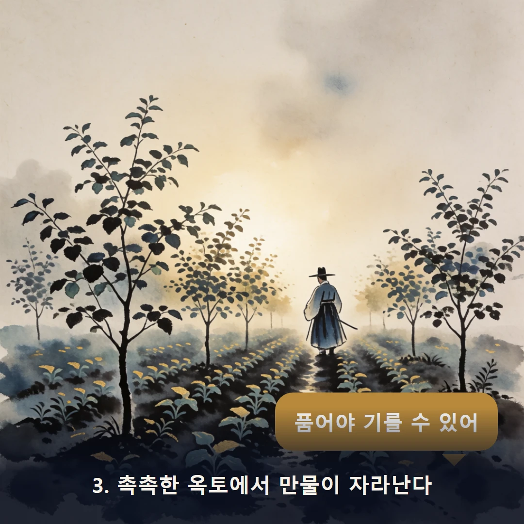 웹툰 3컷 — 3. 촉촉한 옥토에서 만물이 자라난다 (품어야 기를 수 있어)
