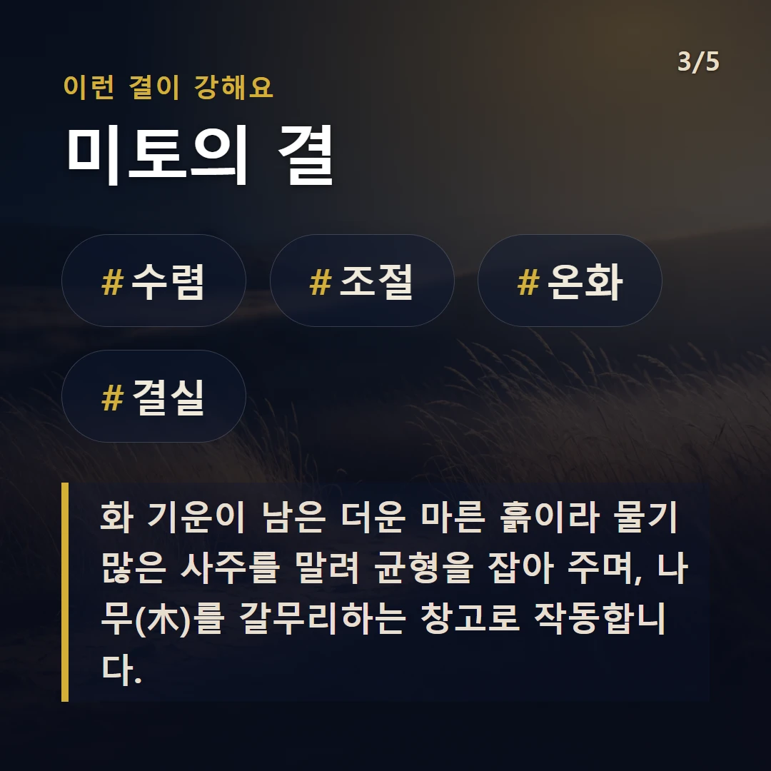 미토의 결 — #수렴 #조절 #온화 #결실