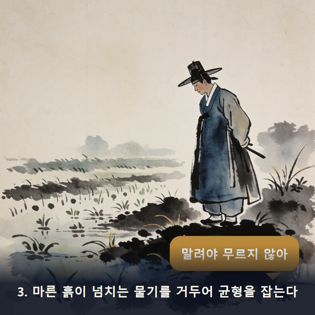 웹툰 3컷 — 3. 마른 흙이 넘치는 물기를 거두어 균형을 잡는다 (말려야 무르지 않아)