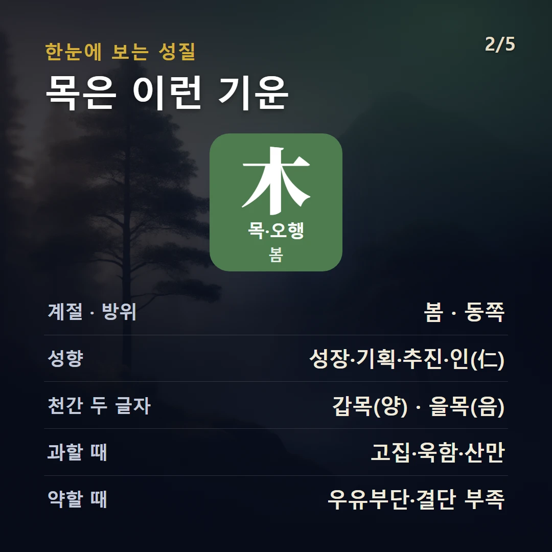 목(木) 구조 — 오행 목(木)의 성질과 상생상극, 성격·직업·건강 키워드를 데이터로 정리