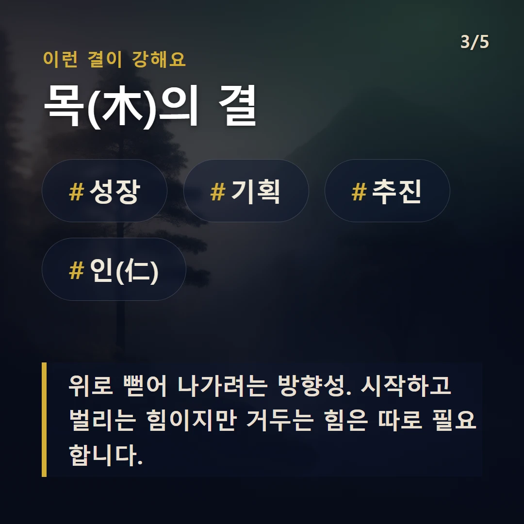 목(木)의 결 — #성장 #기획 #추진 #인(仁)