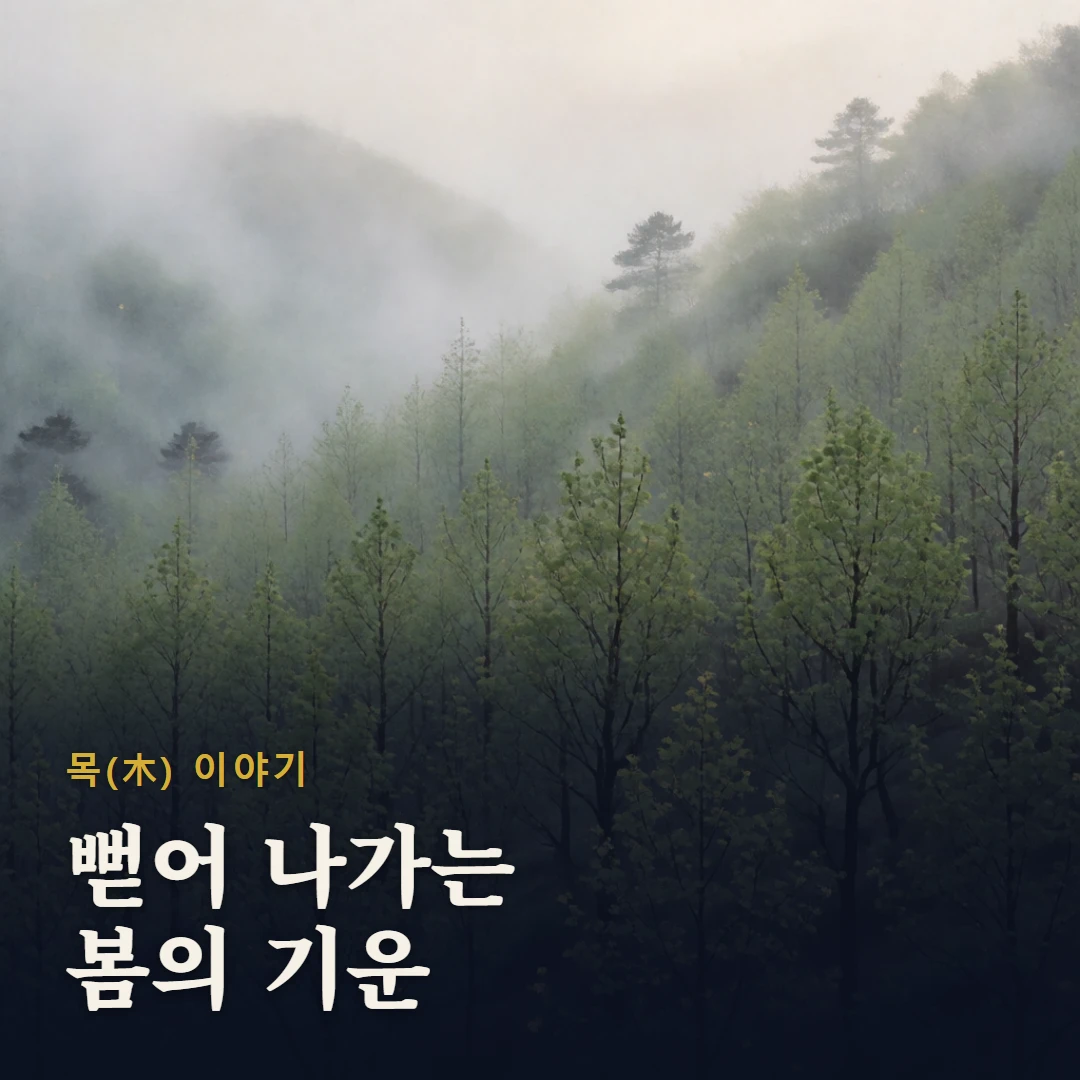 목(木) 이야기 표지 — 뻗어 나가는 봄의 기운
