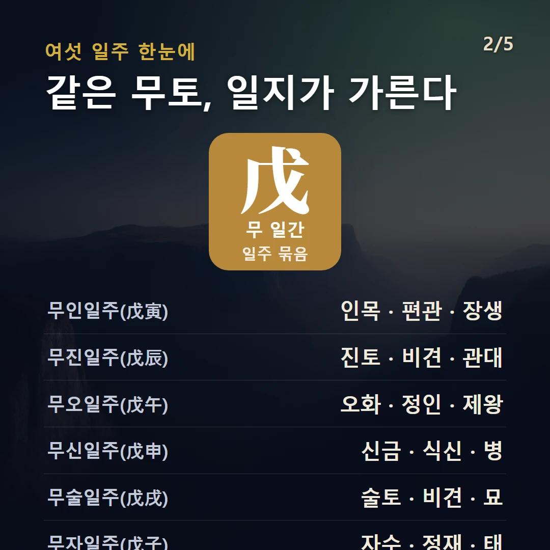 무 일간 일주 구조 — 무토 일간의 여섯 일주(무자·무인·무진·무오·무신·무술)를 데이터로 비교
