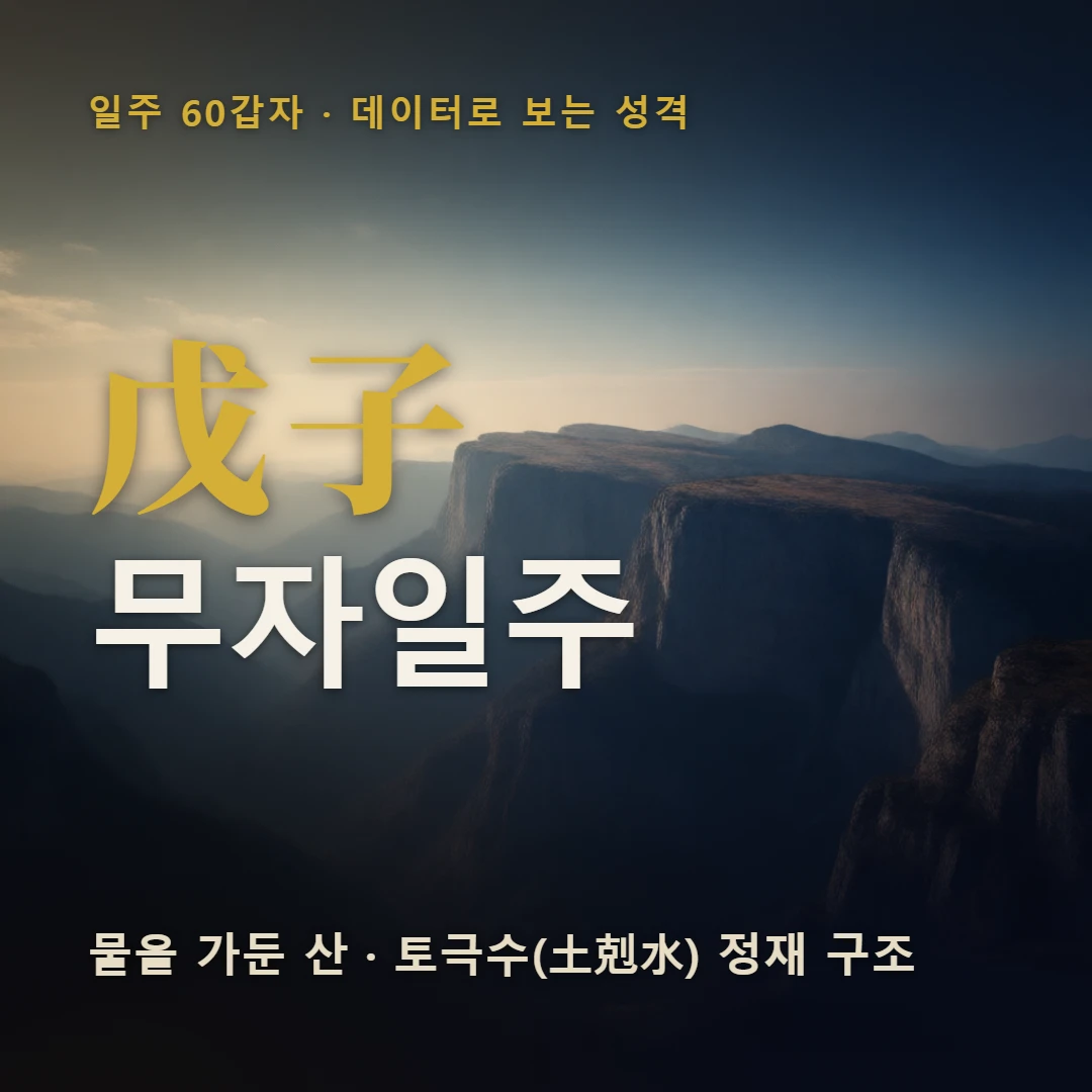 무자일주 표지 — 물을 가둔 산 · 토극수(土剋水) 정재 구조