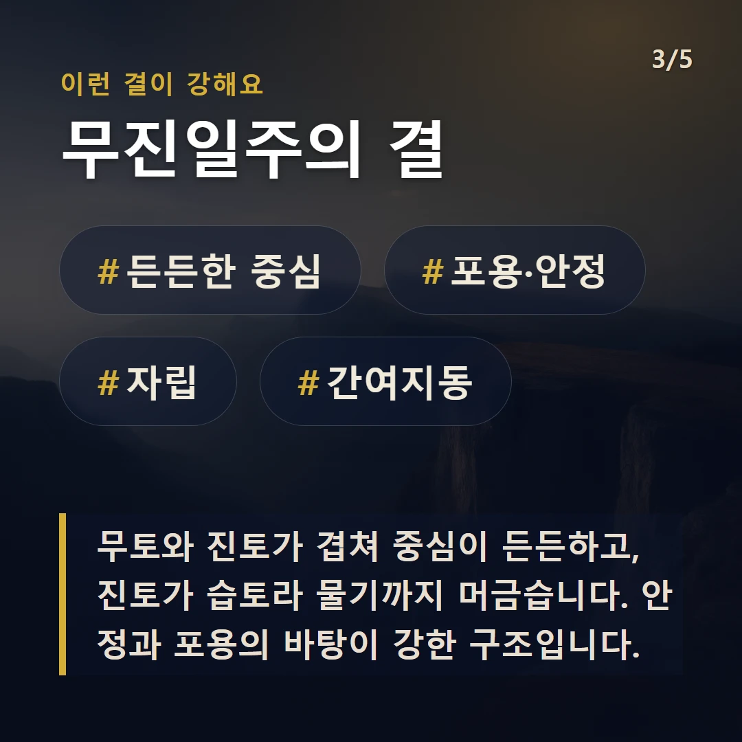 무진일주의 결 — #든든한 중심 #포용·안정 #자립 #간여지동