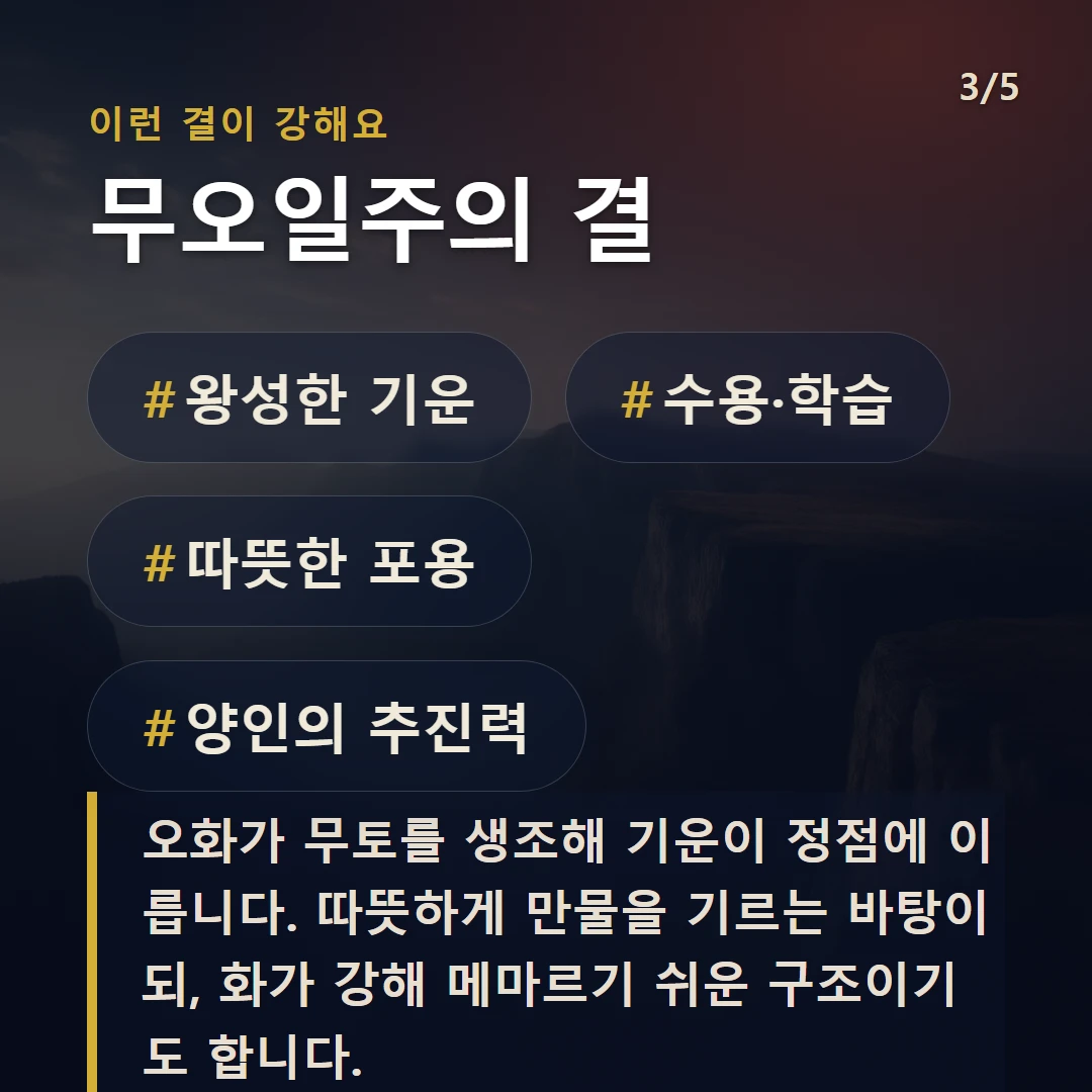 무오일주의 결 — #왕성한 기운 #수용·학습 #따뜻한 포용 #양인의 추진력