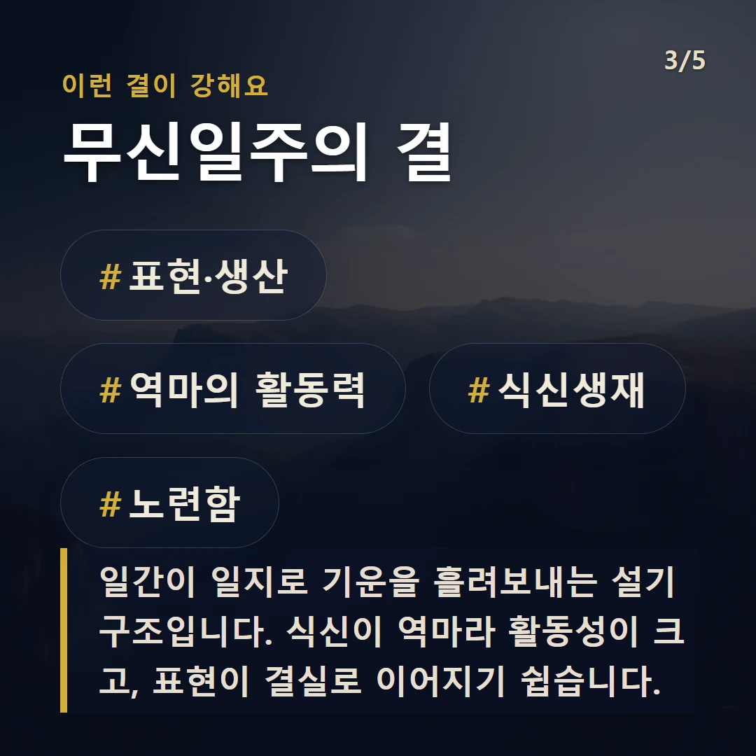무신일주의 결 — #표현·생산 #역마의 활동력 #식신생재 #노련함