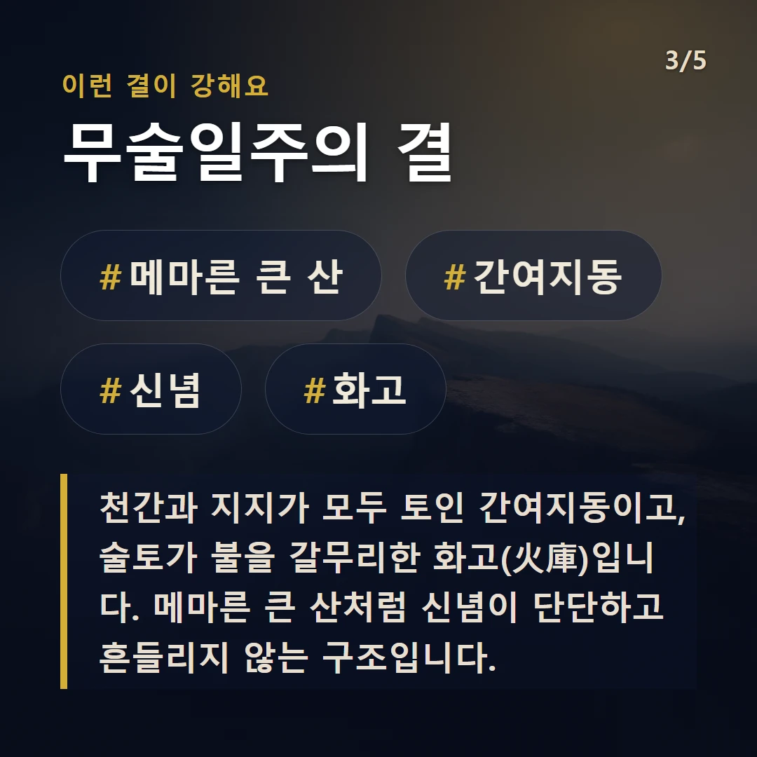 무술일주의 결 — #메마른 큰 산 #간여지동 #신념 #화고