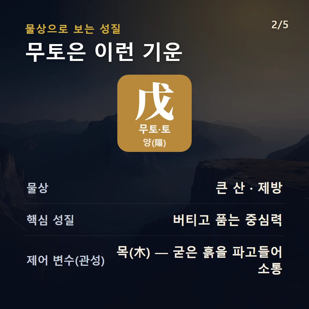 무토 물상·성질 — 토 양, 물상 큰 산 · 제방, 버티고 품는 중심력, 제어 변수 목(木) — 굳은 흙을 파고들어 소통