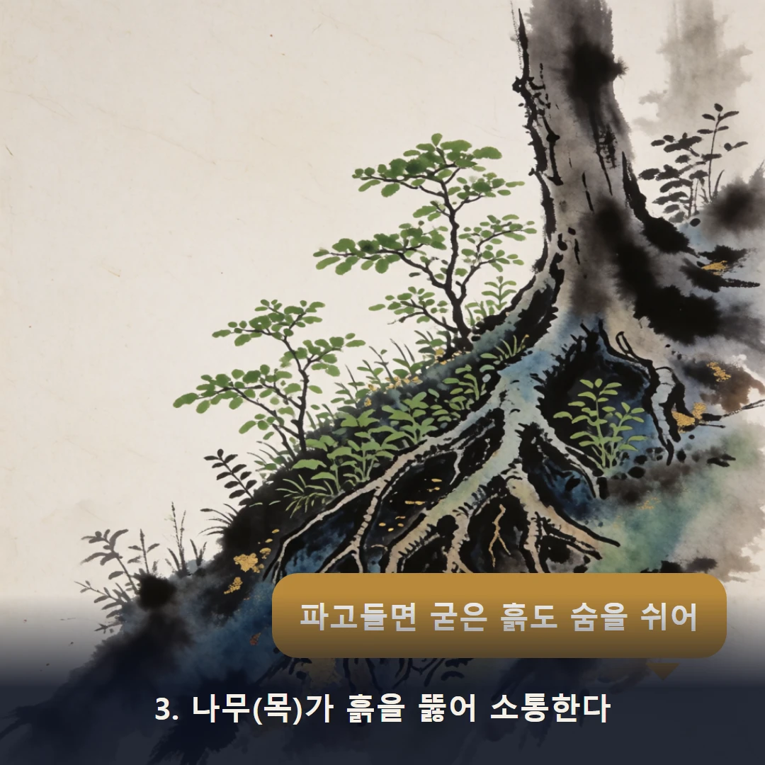 웹툰 3컷 — 3. 나무(목)가 흙을 뚫어 소통한다 (파고들면 굳은 흙도 숨을 쉬어)