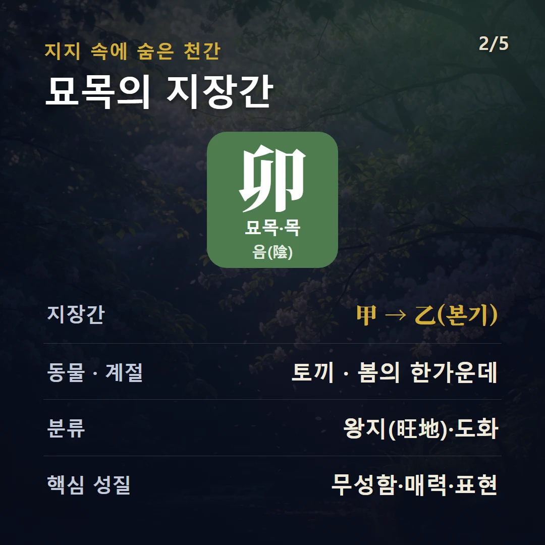 묘목 지장간 — 목 음(陰), 지장간 甲 → 乙(본기), 동물 토끼, 봄의 한가운데, 왕지(旺地)·도화
