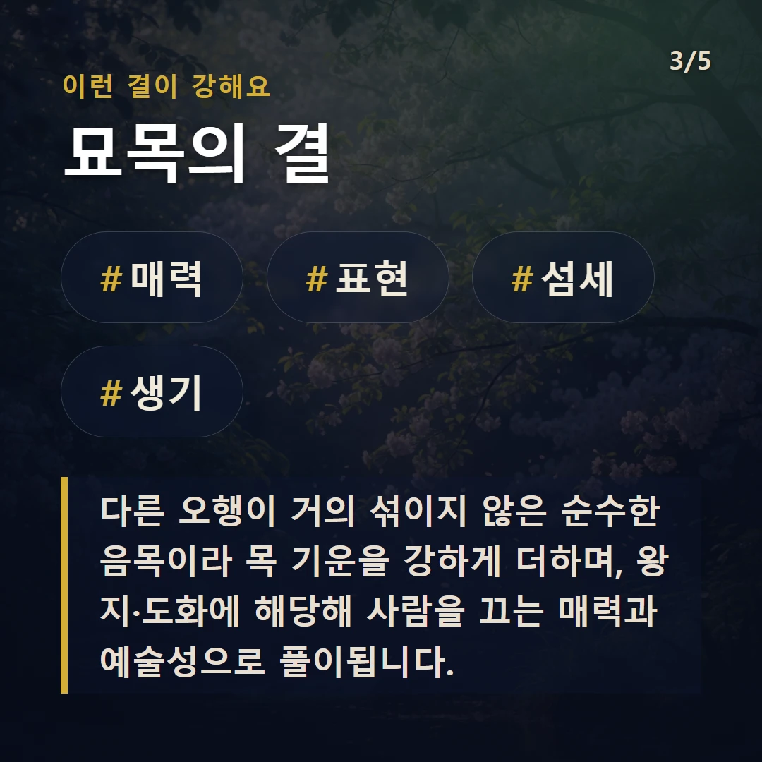 묘목의 결 — #매력 #표현 #섬세 #생기