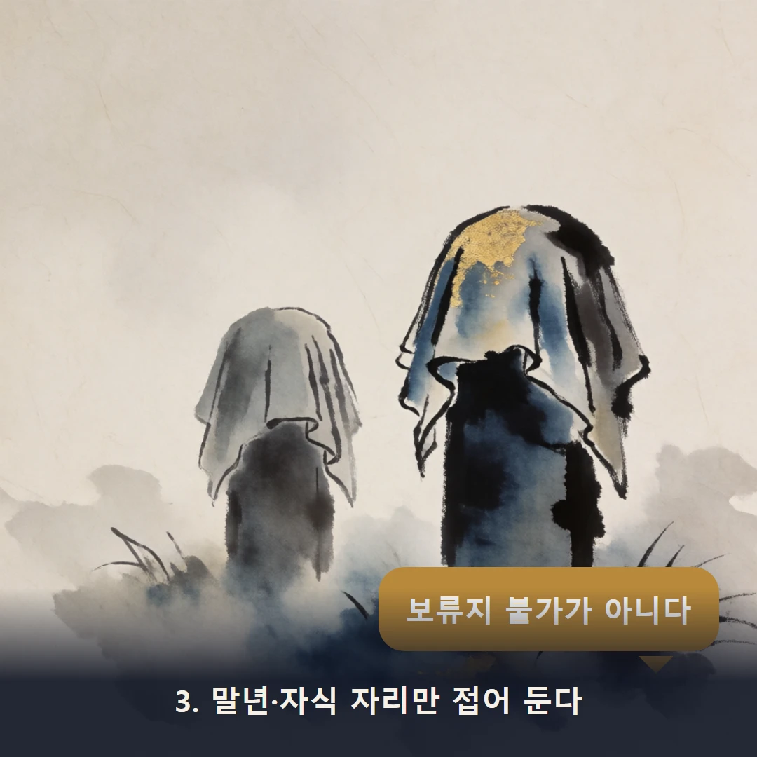 웹툰 3컷 — 3. 말년·자식 자리만 접어 둔다 (보류지 불가가 아니다)