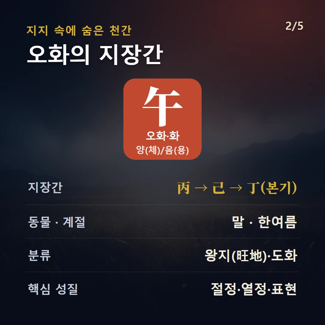 오화 지장간 — 화 양(체)/음(용), 지장간 丙 → 己 → 丁(본기), 동물 말, 한여름, 왕지(旺地)·도화