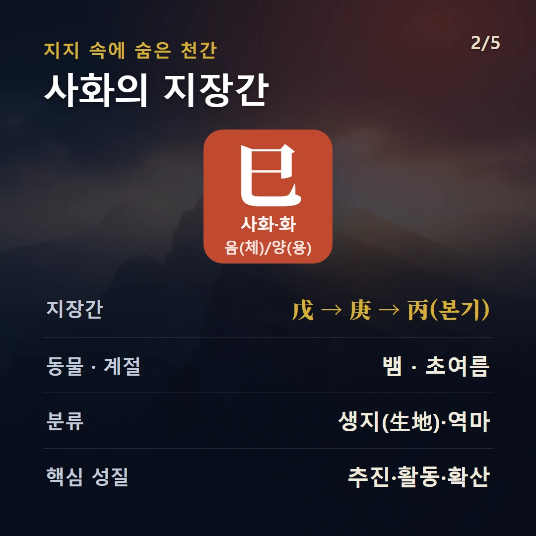 사화 지장간 — 화 음(체)/양(용), 지장간 戊 → 庚 → 丙(본기), 동물 뱀, 초여름, 생지(生地)·역마