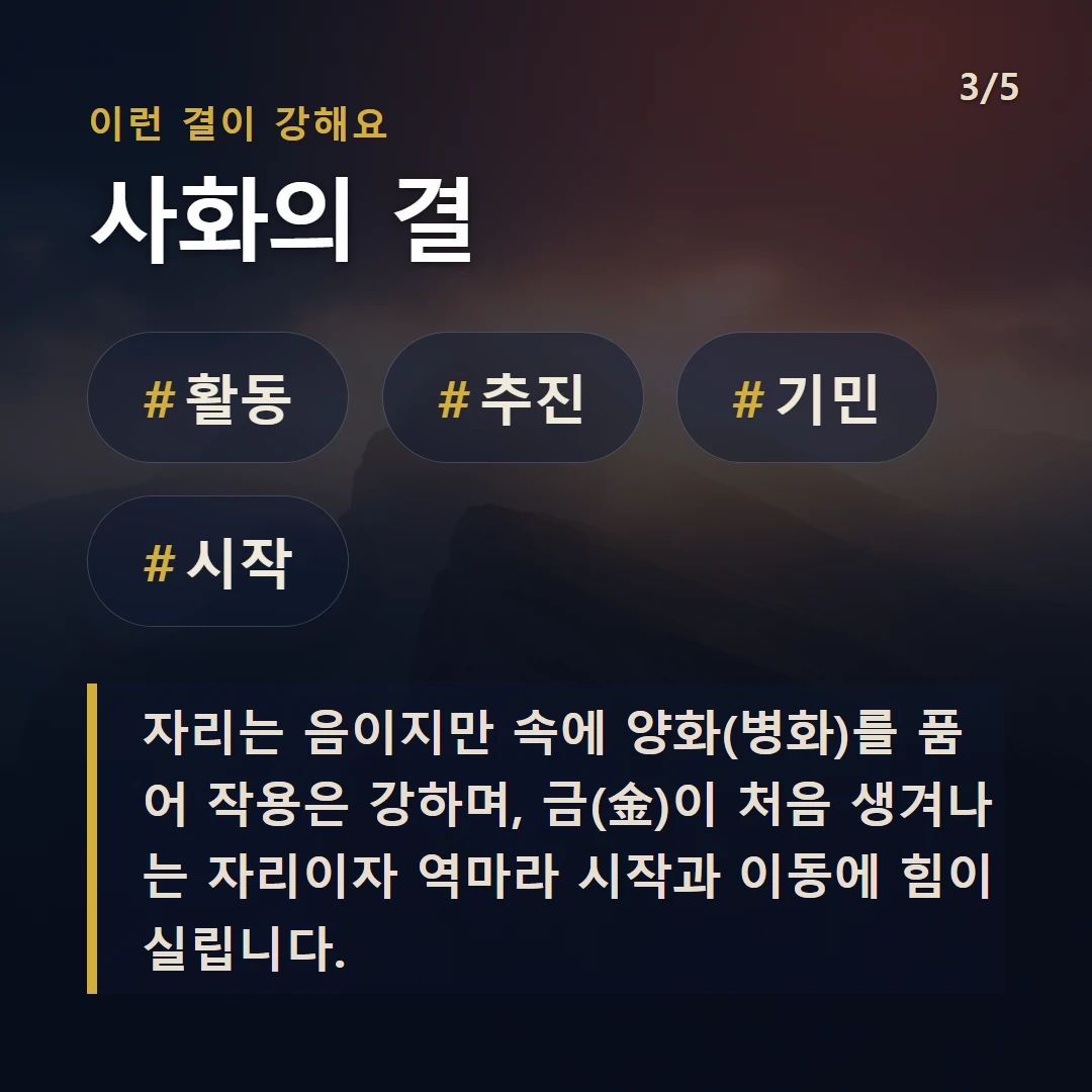 사화의 결 — #활동 #추진 #기민 #시작