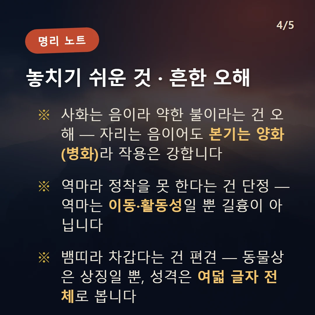 사화 주의·오해 — 사화는 음이라 약한 불이라는 건 오해 — 자리는 음이어도 본기는 양화(병화)라 작용은 강합니다 / 역마라 정착을 못 한다는 건 단정 — 역마는 이동·활동성일 뿐 길흉이 아닙니다 / 뱀띠라 차갑다는 건 편견 — 동물상은 상징일 뿐, 성격은 여덟 글자 전체로 봅니다