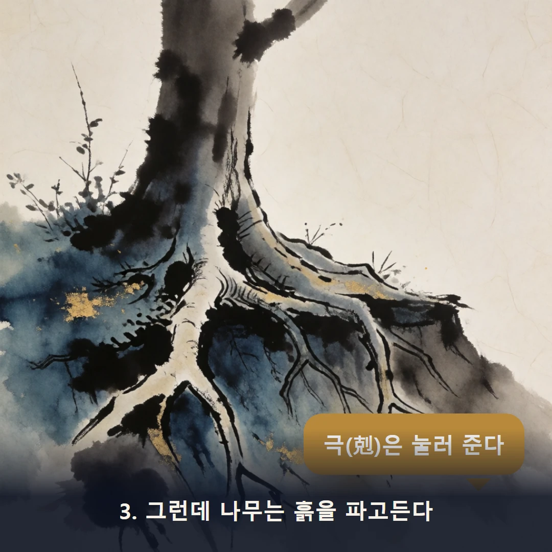 웹툰 3컷 — 3. 그런데 나무는 흙을 파고든다 (극(剋)은 눌러 준다)