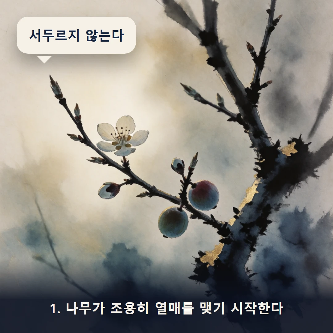 웹툰 1컷 — 1. 나무가 조용히 열매를 맺기 시작한다 (서두르지 않는다)
