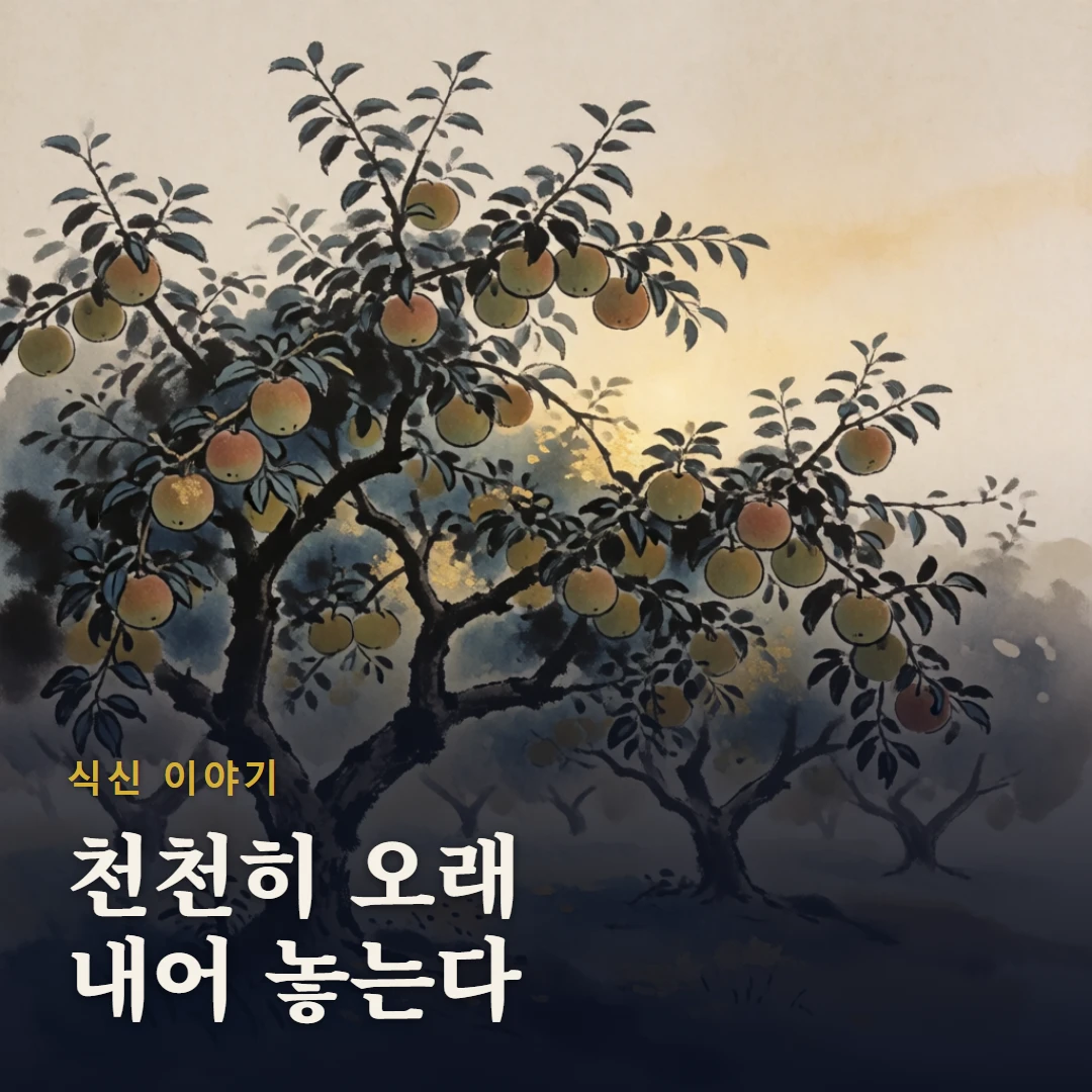 식신 이야기 표지 — 천천히 오래 내어 놓는다
