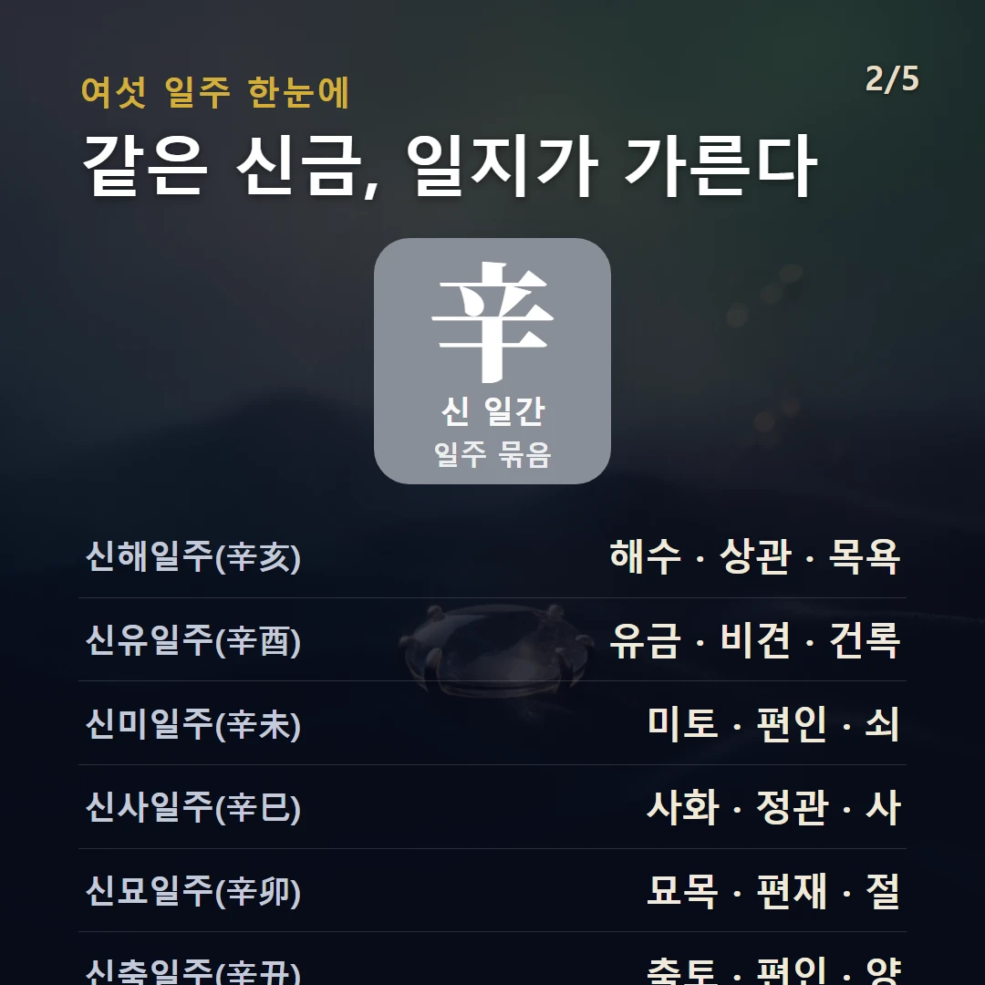 신 일간 일주 구조 — 신금 일간의 여섯 일주(신축·신묘·신사·신미·신유·신해)를 데이터로 비교