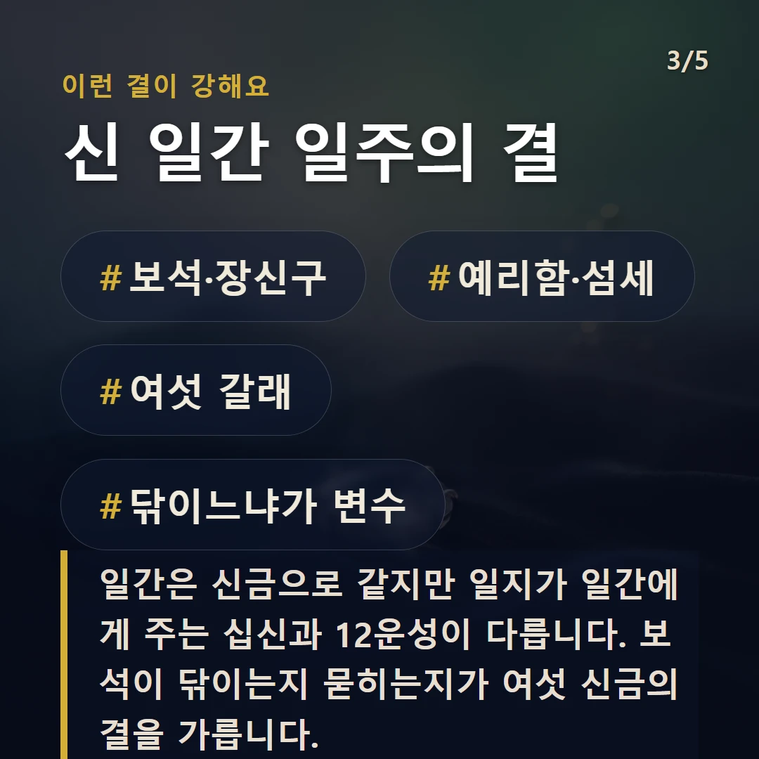 신 일간 일주의 결 — #보석·장신구 #예리함·섬세 #여섯 갈래 #닦이느냐가 변수