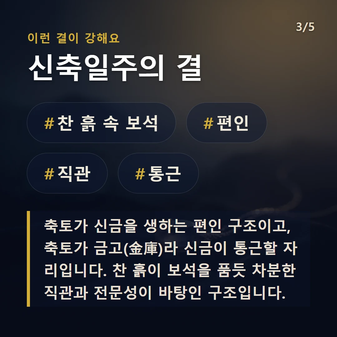 신축일주의 결 — #찬 흙 속 보석 #편인 #직관 #통근