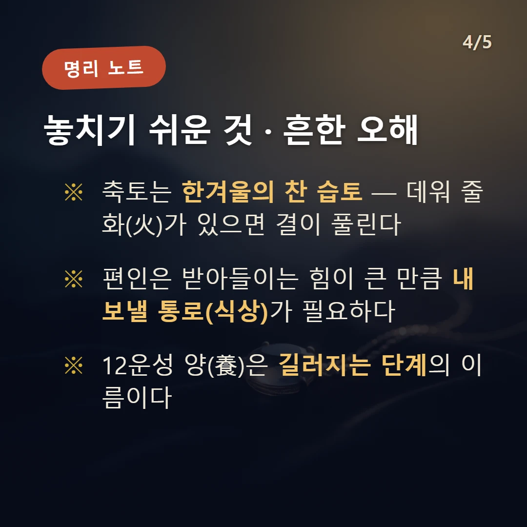 신축일주 주의·오해 — 축토는 한겨울의 찬 습토 — 데워 줄 화(火)가 있으면 결이 풀린다 / 편인은 받아들이는 힘이 큰 만큼 내보낼 통로(식상)가 필요하다 / 12운성 양(養)은 길러지는 단계의 이름이다