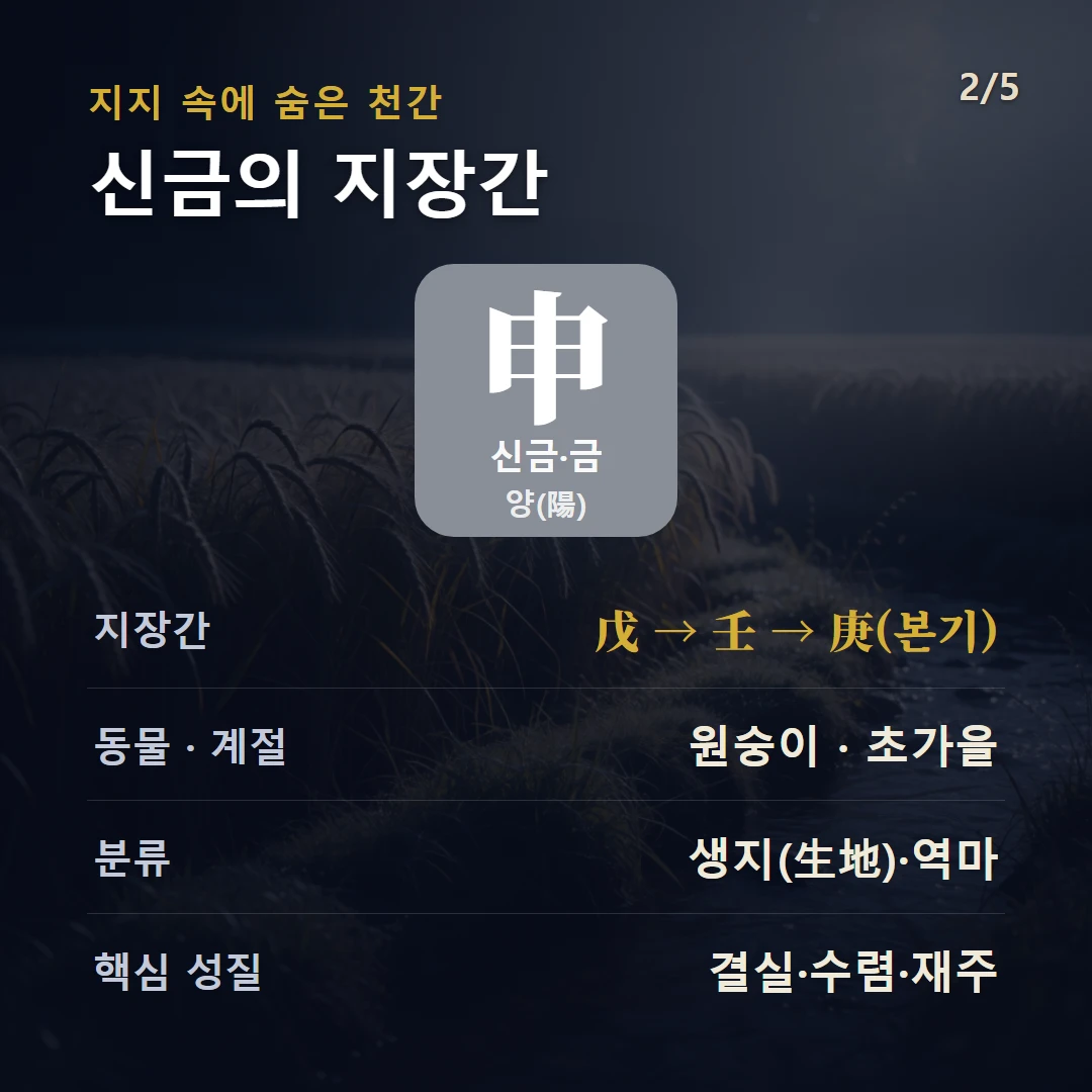 신금 지장간 — 금 양(陽), 지장간 戊 → 壬 → 庚(본기), 동물 원숭이, 초가을, 생지(生地)·역마