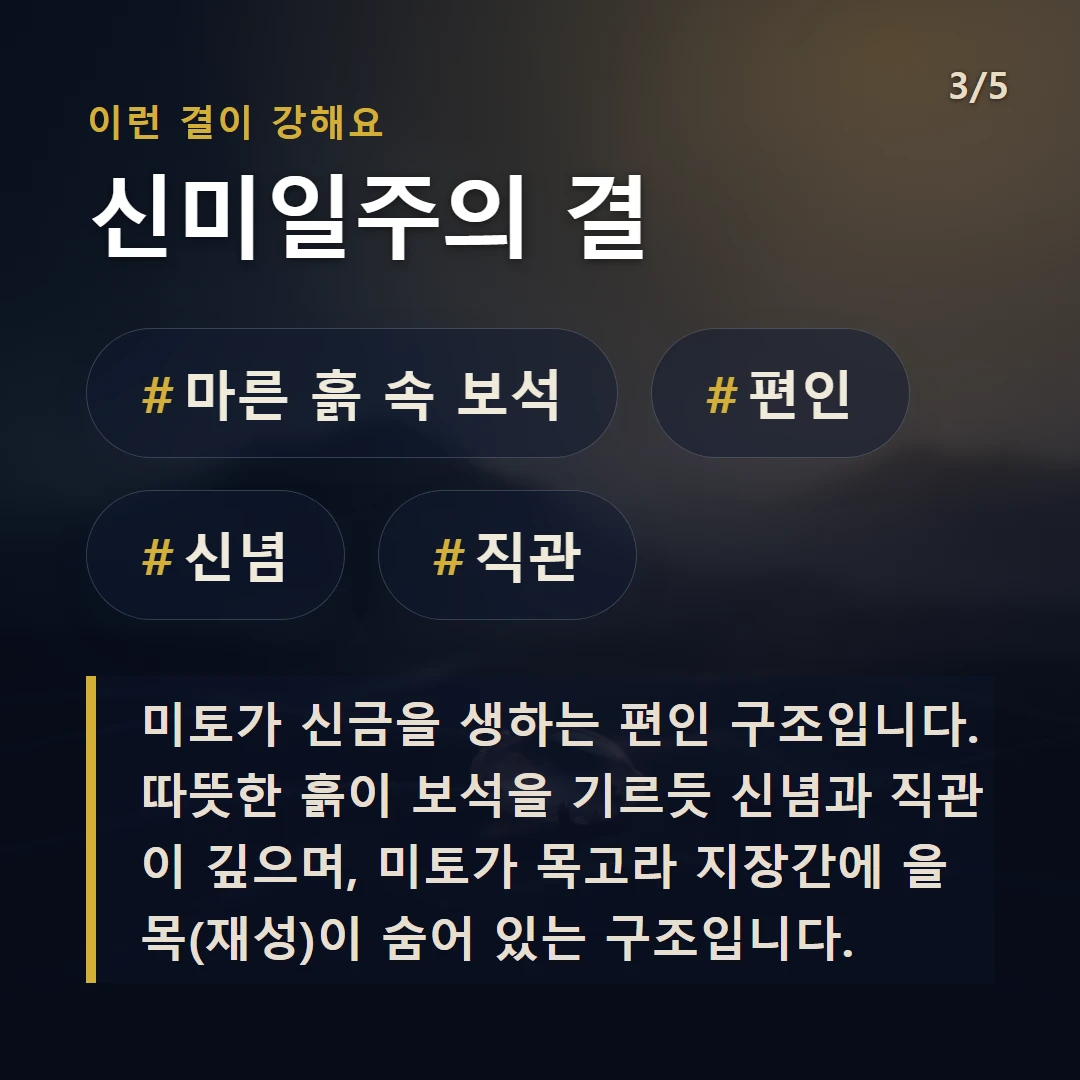 신미일주의 결 — #마른 흙 속 보석 #편인 #신념 #직관