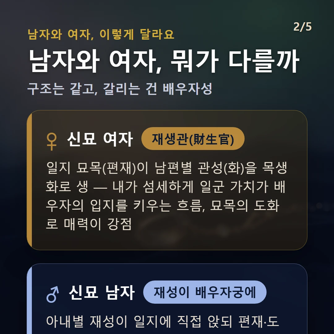 신묘일주 남녀 차이 — 여자 재생관(財生官): 일지 묘목(편재)이 남편별 관성(화)을 목생화로 생 — 내가 섬세하게 일군 가치가 배우자의 입지를 키우는 흐름, 묘목의 도화로 매력이 강점 / 남자 재성이 배우자궁에: 아내별 재성이 일지에 직접 앉되 편재·도화 — 매력 있고 미감 있는 배우자상과 연결되며 연애의 폭이 넓을 수 있다