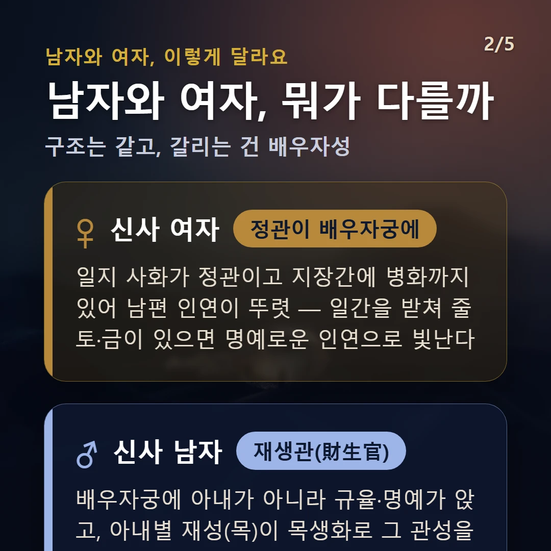 신사일주 남녀 차이 — 여자 정관이 배우자궁에: 일지 사화가 정관이고 지장간에 병화까지 있어 남편 인연이 뚜렷 — 일간을 받쳐 줄 토·금이 있으면 명예로운 인연으로 빛난다 / 남자 재생관(財生官): 배우자궁에 아내가 아니라 규율·명예가 앉고, 아내별 재성(목)이 목생화로 그 관성을 생 — 아내가 사회적 그릇을 받치는 자리