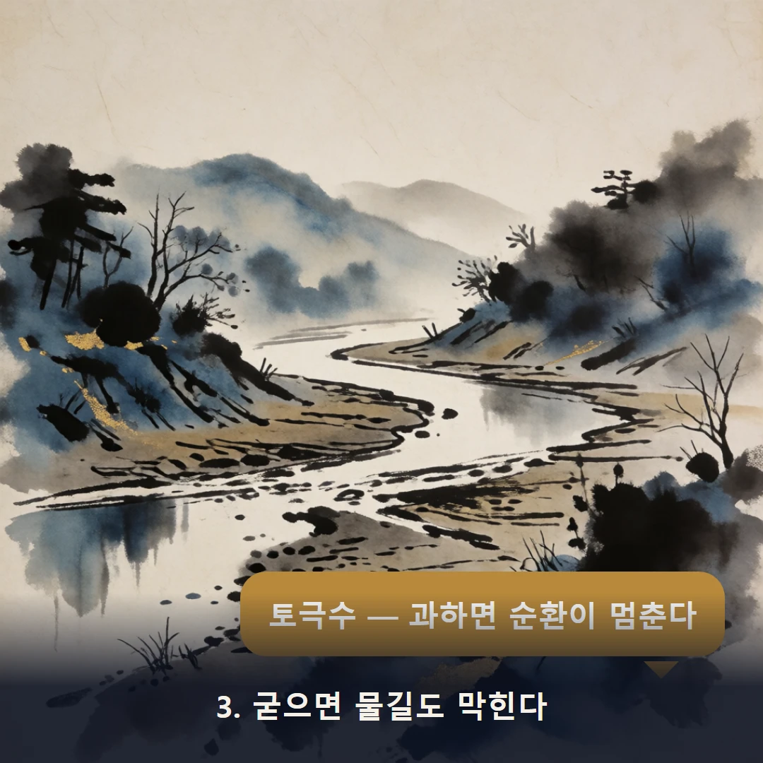 웹툰 3컷 — 3. 굳으면 물길도 막힌다 (토극수 — 과하면 순환이 멈춘다)