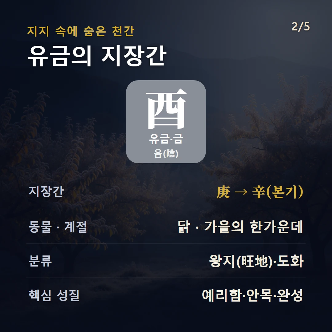 유금 지장간 — 금 음(陰), 지장간 庚 → 辛(본기), 동물 닭, 가을의 한가운데, 왕지(旺地)·도화