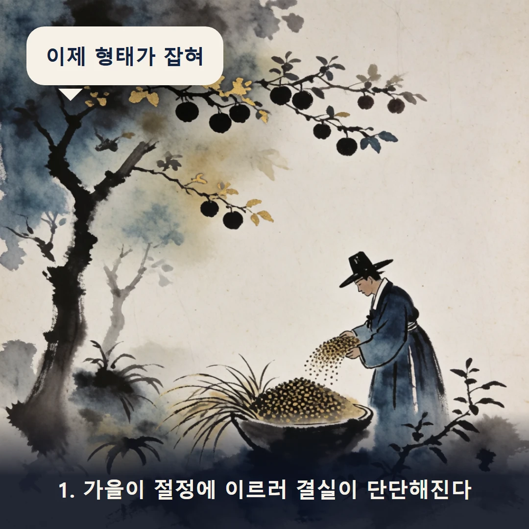 웹툰 1컷 — 1. 가을이 절정에 이르러 결실이 단단해진다 (이제 형태가 잡혀)